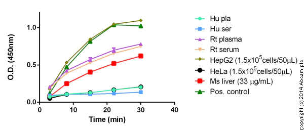 Functional Studies - Glutamate Dehydrogenase Activity Assay Kit (AB102527)