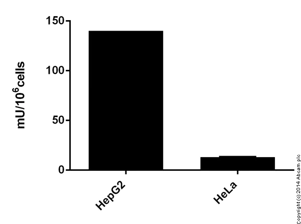 Functional Studies - Glutamate Dehydrogenase Activity Assay Kit (AB102527)