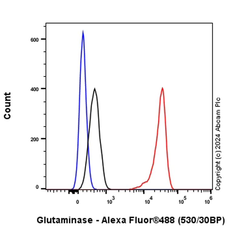 Flow Cytometry (Intracellular) - Anti-Glutaminase antibody [EPR28716-72] - BSA and Azide free (AB317033)