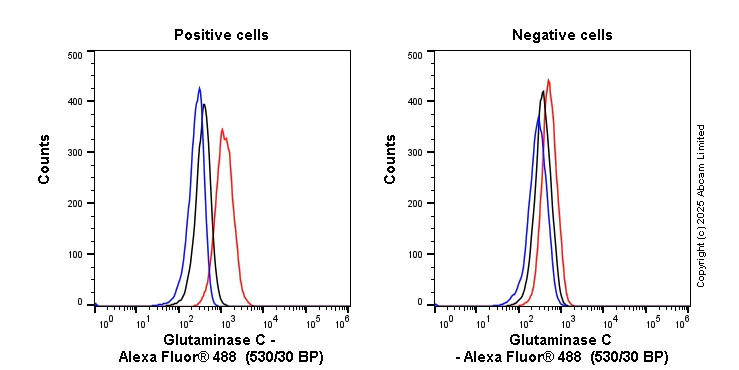 Flow Cytometry (Intracellular) - Anti-Glutaminase C antibody [EPR19525] - BSA and Azide free (AB223129)