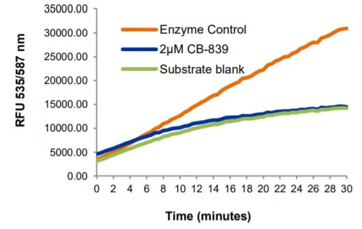 Functional Studies - Glutaminase (GLS1) Inhibitor Screening Kit (Fluorometric) (AB283389)