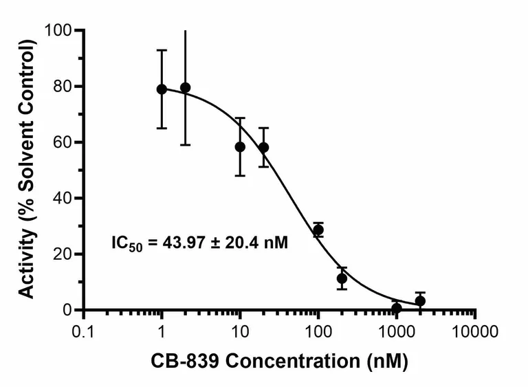 Functional Studies - Glutaminase (GLS1) Inhibitor Screening Kit (Fluorometric) (AB283389)