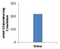Functional Studies - Glutamine Assay Kit (Colorimetric) (AB197011)