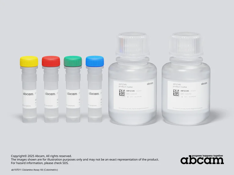 Other - Glutamine Assay Kit (Colorimetric) (AB197011)