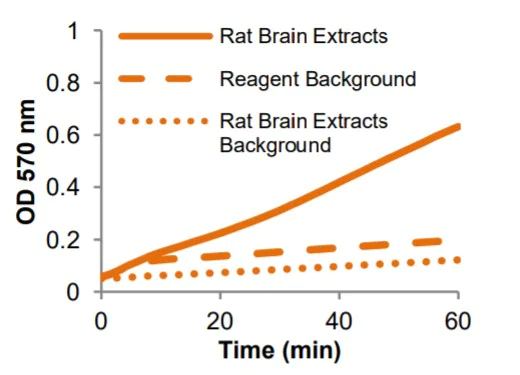 Functional Studies - Glutamine Synthetase Activity Assay Kit (Colorimetric) (AB284572)
