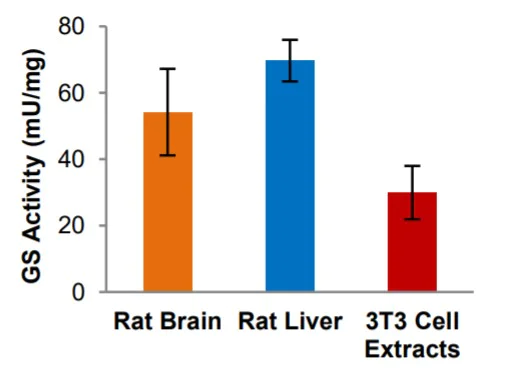 Functional Studies - Glutamine Synthetase Activity Assay Kit (Colorimetric) (AB284572)