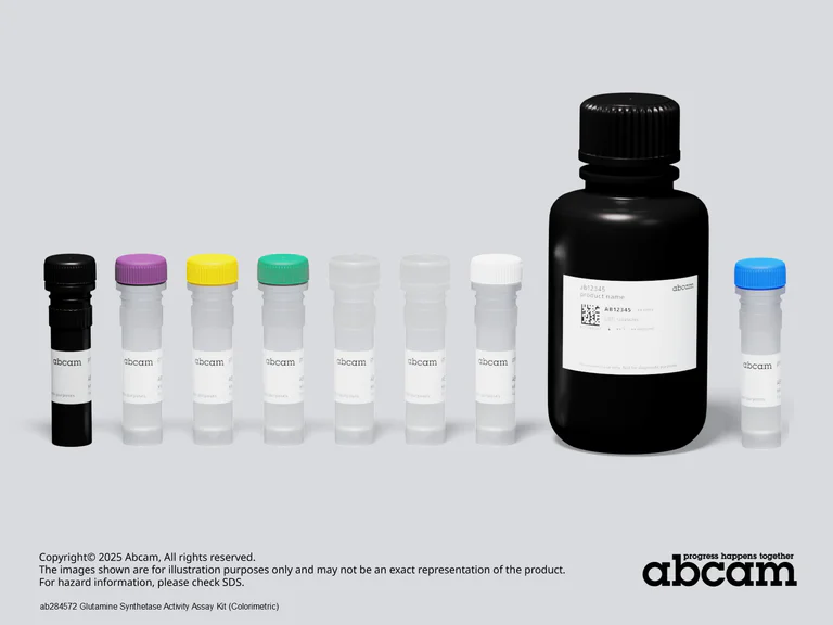 Other - Glutamine Synthetase Activity Assay Kit (Colorimetric) (AB284572)