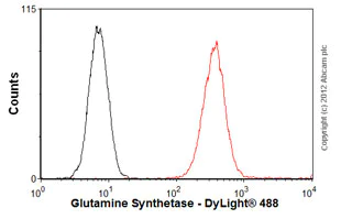 Flow Cytometry - Anti-Glutamine Synthetase antibody [3B6] - BSA and Azide free (AB64613)
