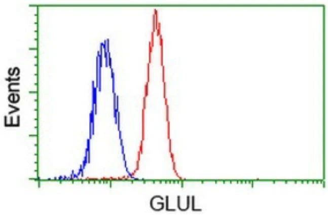 Flow Cytometry (Intracellular) - Anti-Glutamine Synthetase antibody [OTI1F4] - BSA and Azide free (AB273647)