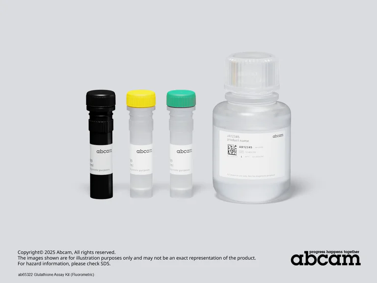 Schematic Diagram - Glutathione Assay Kit (Fluorometric) (AB65322)