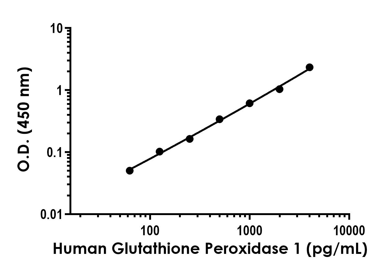 Sandwich ELISA - Anti-Glutathione Peroxidase 1 antibody [EPR24462-61] - BSA and Azide free (Detector) (AB282217)