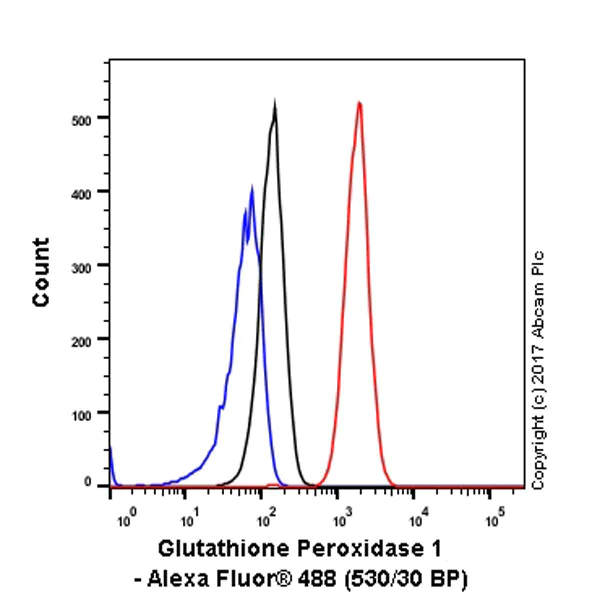 Flow Cytometry (Intracellular) - Anti-Glutathione Peroxidase 1 antibody [EPR3311] - BSA and Azide free (AB247669)