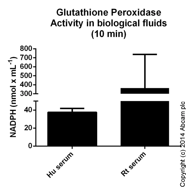 Functional Studies - Glutathione Peroxidase Assay Kit (Colorimetric) (AB102530)