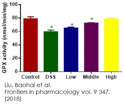 Functional Studies - Glutathione Peroxidase Assay Kit (Colorimetric) (AB102530)