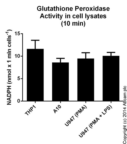 Functional Studies - Glutathione Peroxidase Assay Kit (Colorimetric) (AB102530)