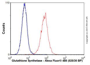 Flow Cytometry (Intracellular) - Anti-Glutathione Synthetase antibody [EPR6563] (AB133592), expandable thumbnail
