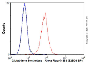 Flow Cytometry (Intracellular) - Anti-Glutathione Synthetase antibody [EPR6563] (AB133592)