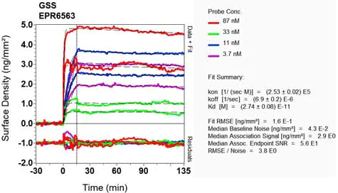 OI-RD Scanning - Anti-Glutathione Synthetase antibody [EPR6563] - BSA and Azide free (AB236062)