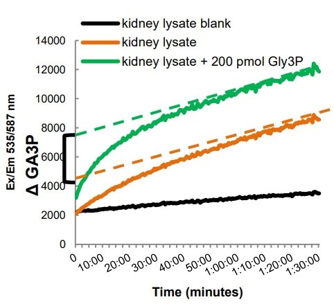 Functional Studies - Glyceraldehyde 3-Phosphate Assay Kit (Fluorometric) (AB273344)