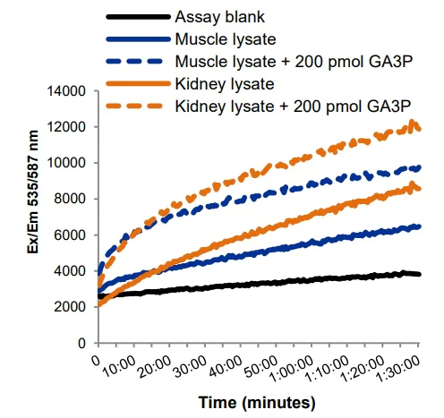 Functional Studies - Glyceraldehyde 3-Phosphate Assay Kit (Fluorometric) (AB273344)