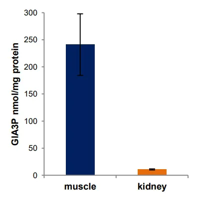 Functional Studies - Glyceraldehyde 3-Phosphate Assay Kit (Fluorometric) (AB273344)