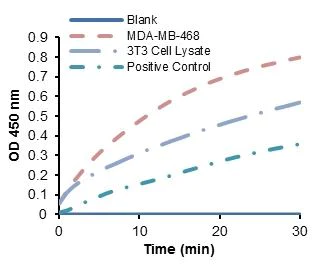 Functional Studies - Glyceraldehyde 3 Phosphate Dehydrogenase Activity Assay Kit (Colorimetric) (AB204732)
