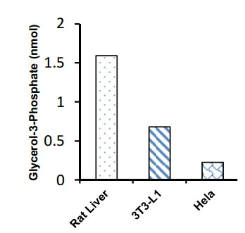 Functional Studies - Glycerol-3-phosphate (G3P) Assay Kit (Colorimetric) (AB174094)