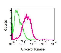 Flow Cytometry (Intracellular) - Anti-Glycerol kinase antibody [EPR6567] - BSA and Azide free (AB248122), expandable thumbnail