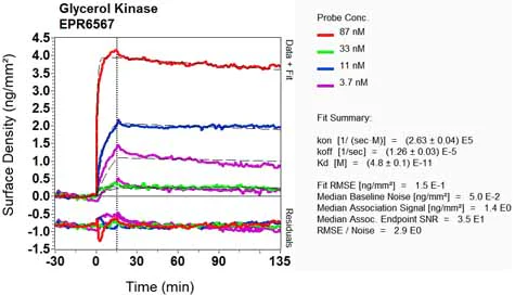 OI-RD Scanning - Anti-Glycerol kinase antibody [EPR6567] - BSA and Azide free (AB248122)