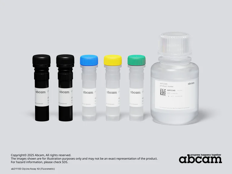 Schematic Diagram - Glycine Assay Kit (Fluorometric) (AB211100)