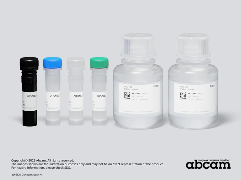 Schematic Diagram - Glycogen Assay Kit (AB65620)