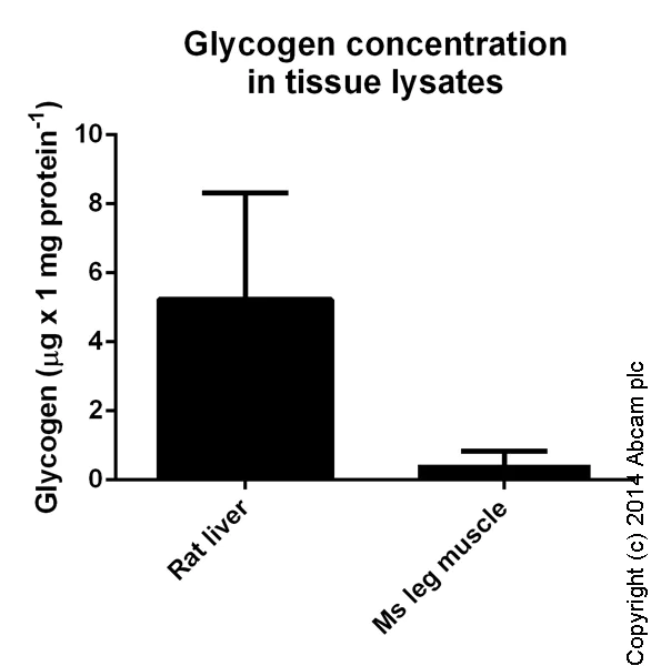 Functional Studies - Glycogen Assay Kit II (Colorimetric) (AB169558)