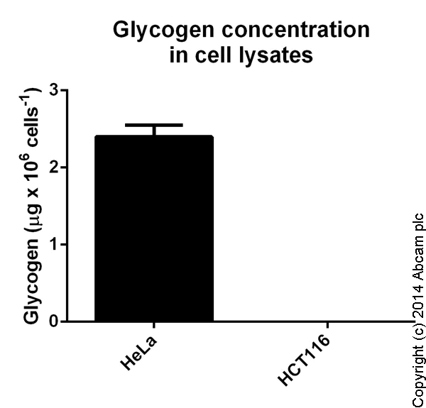 Functional Studies - Glycogen Assay Kit II (Colorimetric) (AB169558)