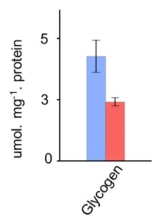 Functional Studies - Glycogen Assay Kit II (Colorimetric) (AB169558)