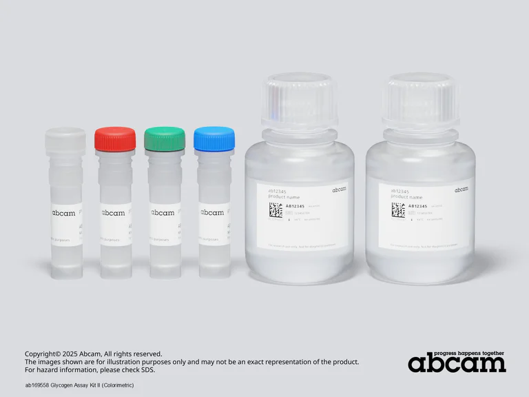 Schematic Diagram - Glycogen Assay Kit II (Colorimetric) (AB169558)