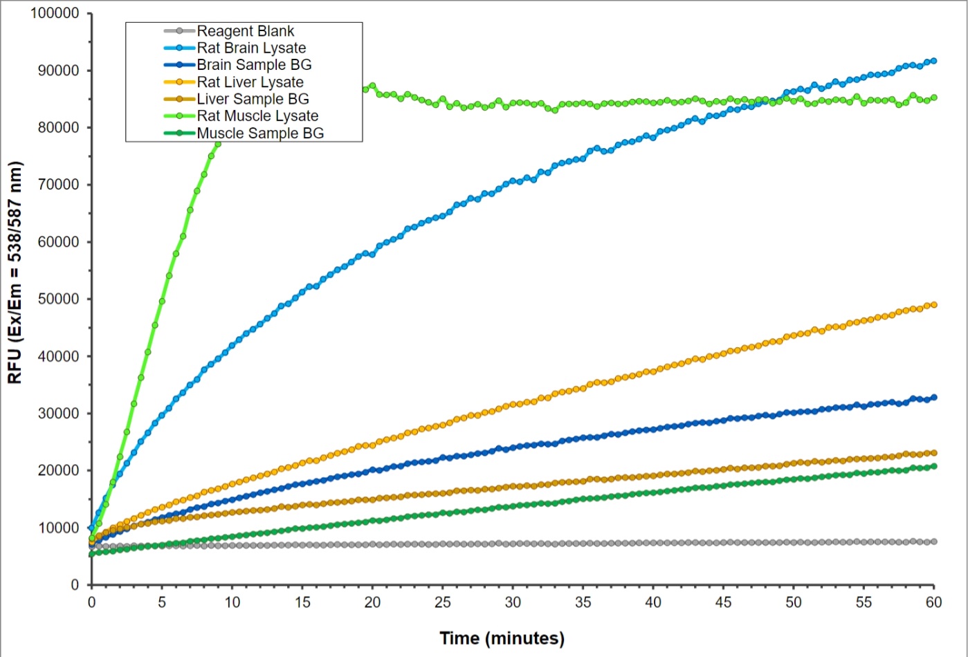 Functional Studies - Glycogen Phosphorylase Activity Assay Kit (Fluorometric) (AB308153), expandable thumbnail