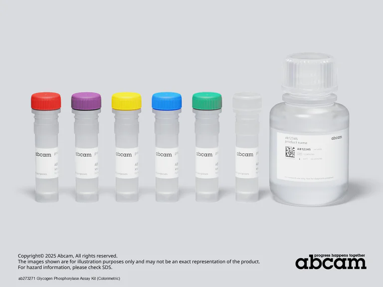 Other - Glycogen Phosphorylase Assay Kit (Colorimetric) (AB273271)