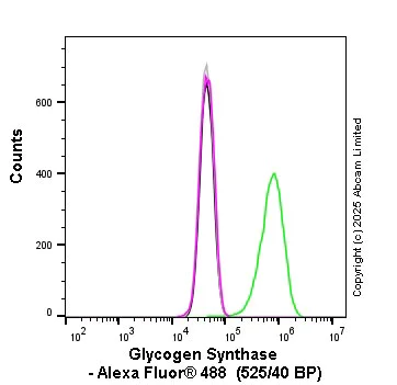 Flow Cytometry (Intracellular) - Anti-Glycogen synthase 1/GYS1 antibody [EP817Y] - BSA and Azide free (AB231693)