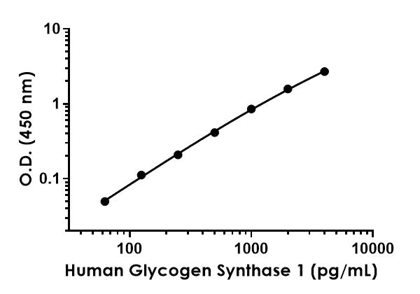 Sandwich ELISA - Anti-Glycogen synthase 1/GYS1 antibody [EPR19261-142] - BSA and Azide free (Capture) (AB242620)
