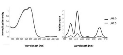 Cellular Activity - Glycolysis Assay [Extracellular acidification] (AB197244), expandable thumbnail