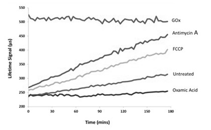 Cellular Activity - Glycolysis Assay [Extracellular acidification] (AB197244), expandable thumbnail