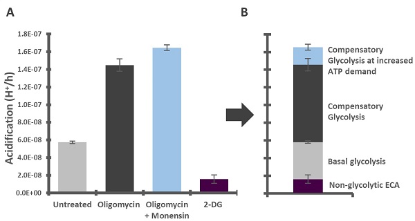 Functional Studies - Glycolysis Stress Test Companion Assay (AB222945), expandable thumbnail