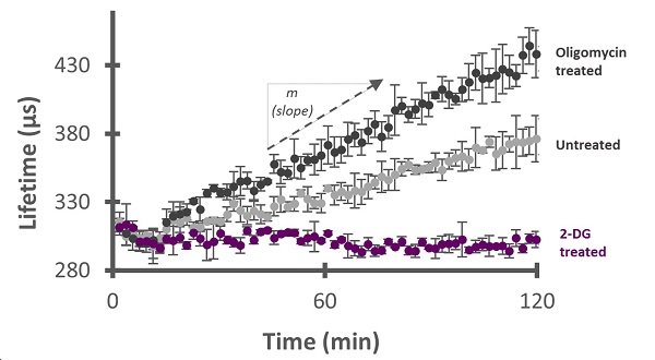 Functional Studies - Glycolysis Stress Test Complete Assay Kit (AB222946), expandable thumbnail