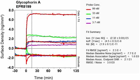 OI-RD Scanning - Anti-Glycophorin A antibody [EPR8199] - BSA and Azide free (AB226153), expandable thumbnail