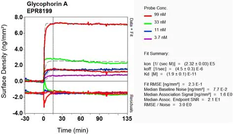 OI-RD Scanning - Anti-Glycophorin A antibody [EPR8199] - BSA and Azide free (AB226153)