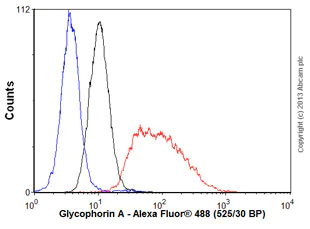 Flow Cytometry (Intracellular) - Anti-Glycophorin A antibody [EPR8200] (AB129024)