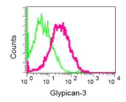Flow Cytometry (Intracellular) - Anti-Glypican 3 antibody [EPR10641] - BSA and Azide free (AB221498)