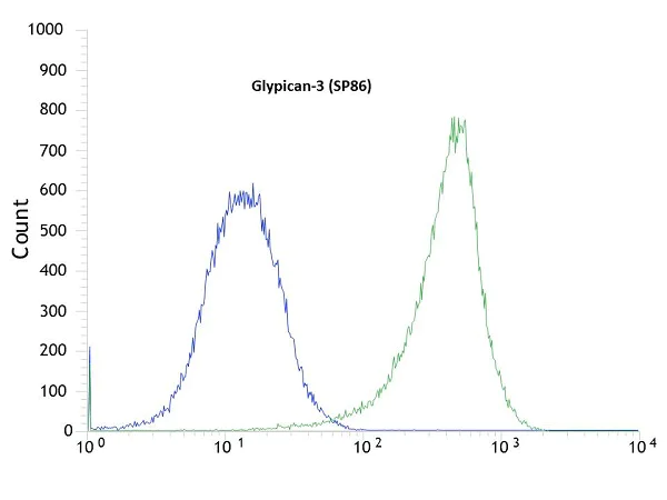 Flow Cytometry - Anti-Glypican 3 antibody [SP86] - BSA and Azide free (AB238804)