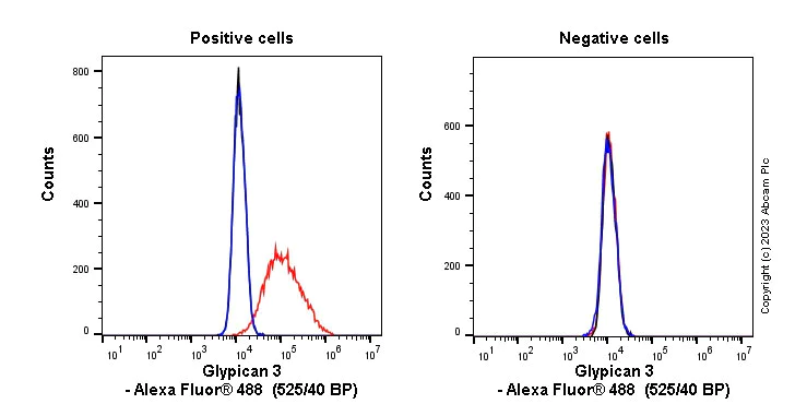 Flow Cytometry - Anti-Glypican 3 antibody [SP86] - BSA and Azide free (AB238804)