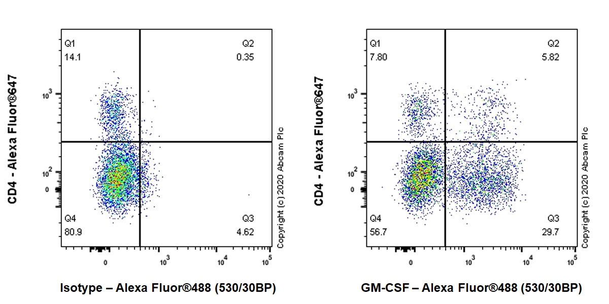 Flow Cytometry (Intracellular) - Anti-GM-CSF antibody [EPR23689-17] (AB227031)